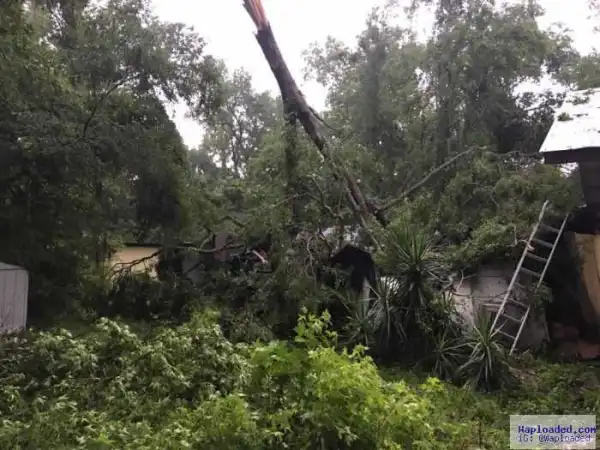 Heavy Storm Wreaks Havoc At Yoruba Village In The United States (Photos)
